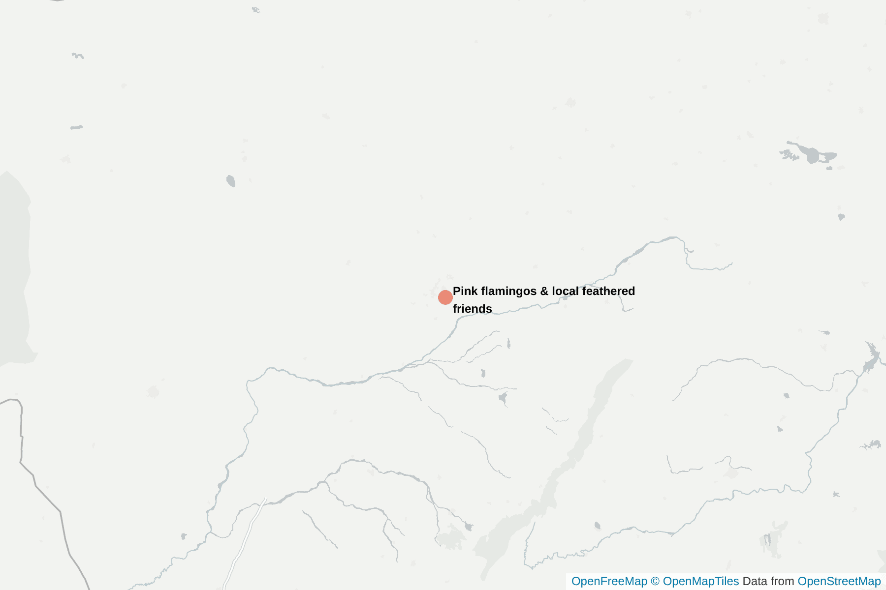 Map of Pink flamingos & local feathered friends